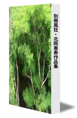 別冊風狂・北岡善寿作品集　