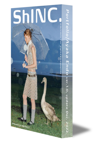 Portfolio/Ayaka Endo Ver.1.0.