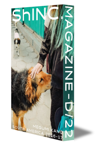 SOUTH AMERICA 2016-17