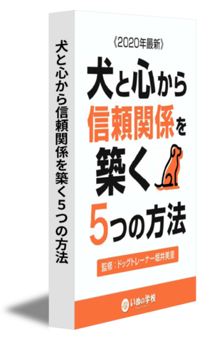犬と心から信頼関係を築く５つの方法