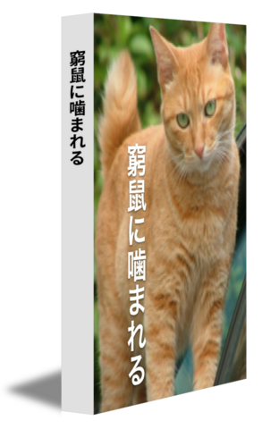 窮鼠に噛まれる