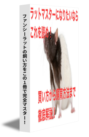 ファンシーラットの飼い方をこの1冊で完全マスター！