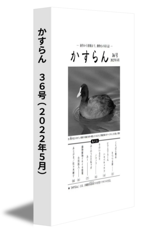 かすらん　36号(2022年5月)