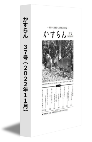 かすらん　37号(2022年11月)