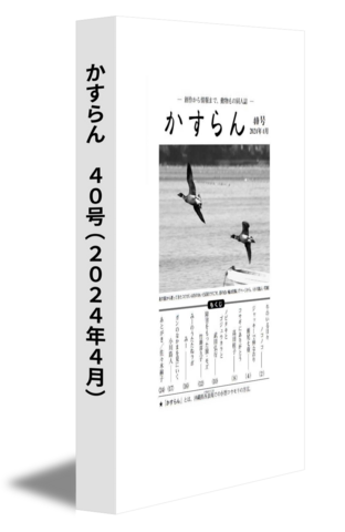 かすらん　40号(2024年4月)