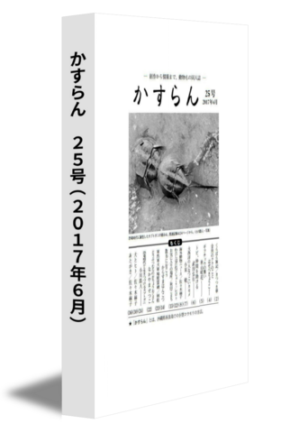 かすらん　25号(2017年6月)