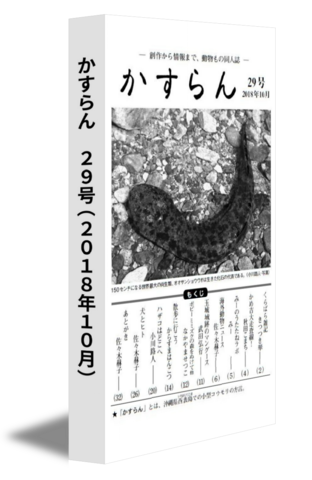 かすらん　29号(2018年10月)