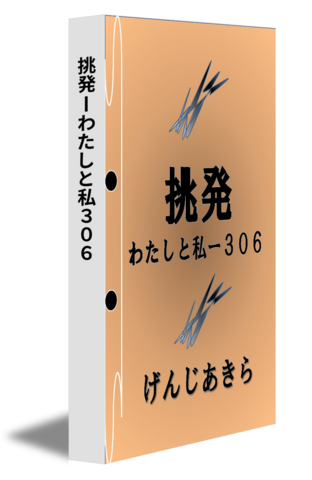 挑発ーわたしと私３０６