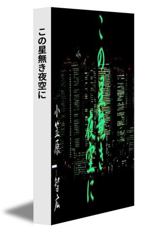 この星無き夜空に