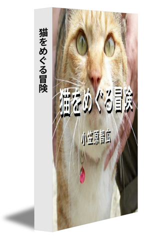 猫をめぐる冒険