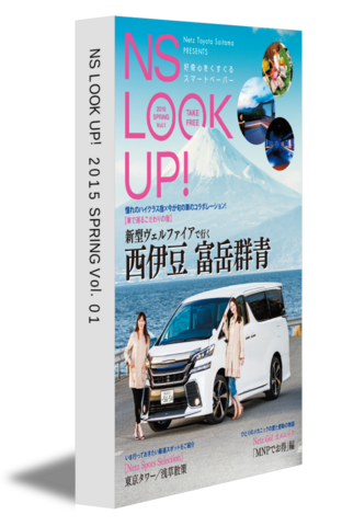 NS LOOK UP! 2015 SPRING Vol.01