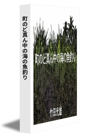 町のど真ん中の海の魚釣り