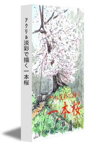 ｱｸﾘﾙ淡彩で描く一本桜
