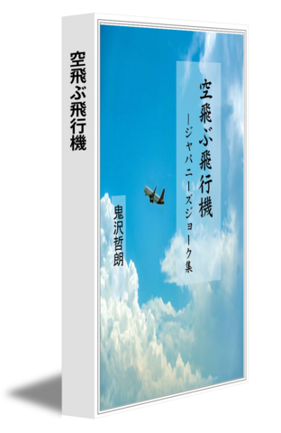 空飛ぶ飛行機