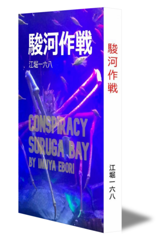 駿河作戦