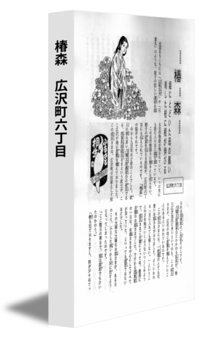 椿森　広沢町六丁目