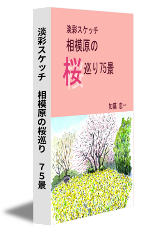 淡彩スケッチ　相模原の桜巡り　75景