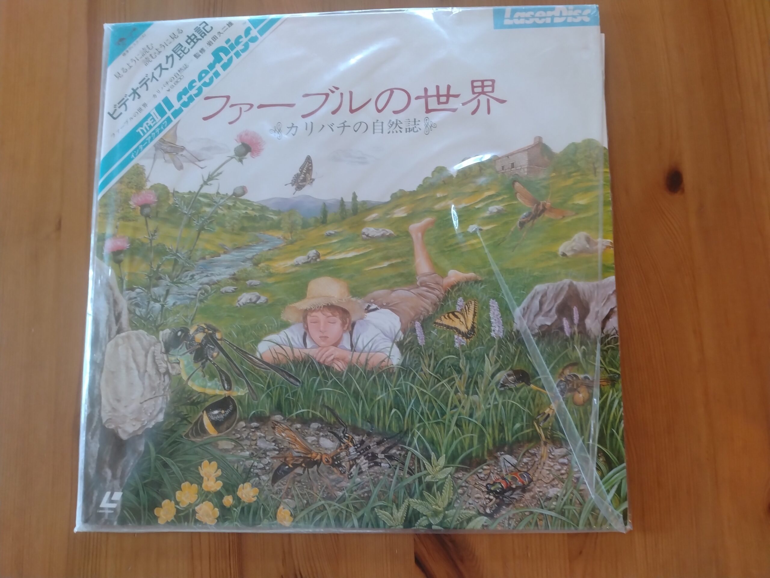 ビデオディスク昆虫記『ファーブルの世界　～カリバチの自然誌～』の画像